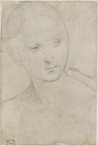レクト：若い女性の頭の研究、WA1846.157（オフホワイトの紙に黒いチョーク）